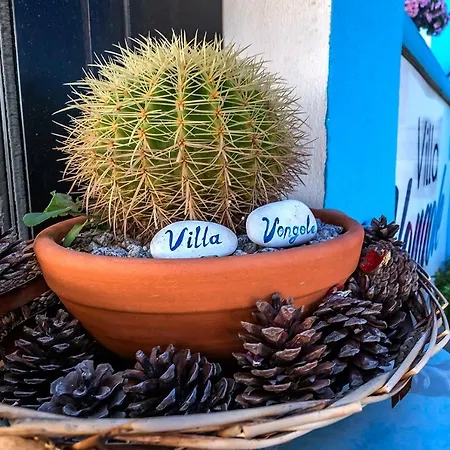 Vongole Ξενοδοχείο